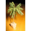 1/350 Coconut trees