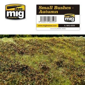 SMALL BUSHES &ndash; AUTUMN