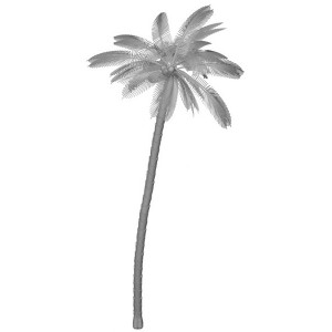 1/350 Coconut - Palm Trees